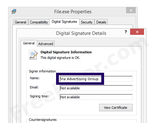 Screenshot of the Via Advertising Group certificate